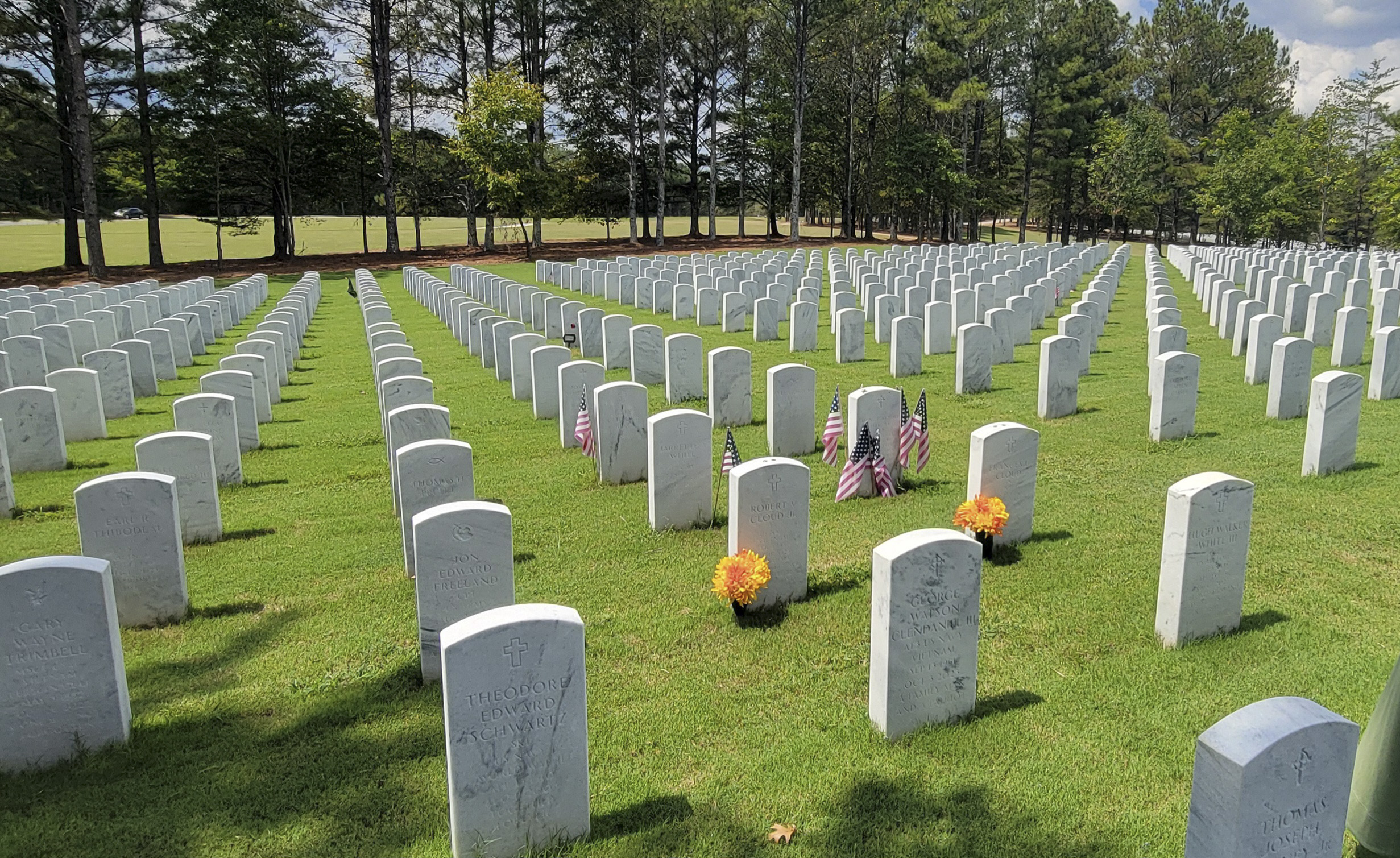 A visitor pauses among the rows of headstones at a national veterans cemetery, American flags and flowers marking several graves.